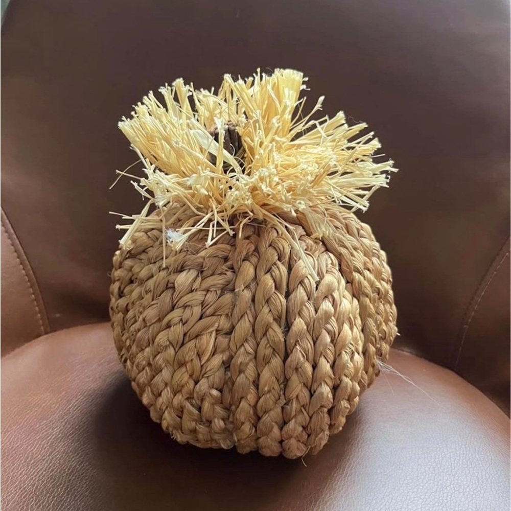 Threshold Woven Pumpkin with Straw Accent
